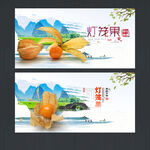 灯笼果