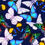 多彩蝴蝶图案背景纹理四方连续数