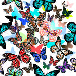 多彩蝴蝶图案背景四方连续数码