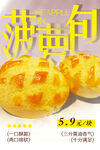 菠萝包