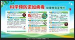诺如病毒