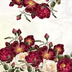 复古风红白花卉图案