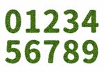 草坪数字字体设计