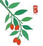 枸杞枝叶图案包装中药材海报