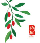枸杞枝上红果绿叶中药养生茶饮