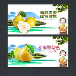 雪梨