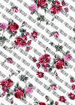 手绘花 矢量