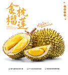 金枕榴莲