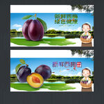 西梅
