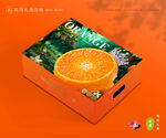 沃柑包装 蜜桔礼盒