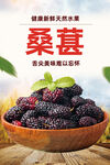 桑葚