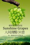 青提葡萄水果活动海报