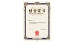 职业证书展示