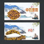 雪菊
