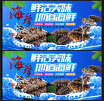 海参