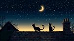 月夜下的双猫屋顶剪影