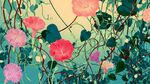 梦幻牵牛花插画背景图