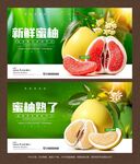 蜜柚海报
