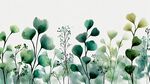 清新绿植水彩插画背景