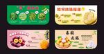 多样食品标签设计展示