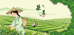 采茶女采春茶