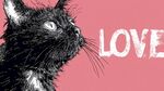 黑猫凝视 LOVE 艺术插画