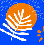 花纹
