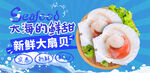 鲜扇贝刺身