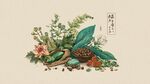 中式传统草药静物插画