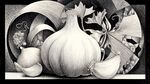 黑白素描下的大蒜与叶片