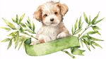 萌犬倚竹持绿绸