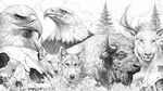 野生动物群像黑白插画