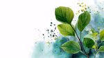 水彩绘绿叶清新自然风