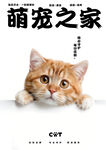  宠物店广告