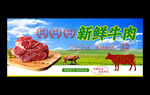 牛肉海报