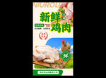新鲜鸡肉海报