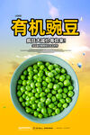 豌豆