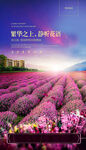 地产花园洋房背景 