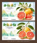 西柚