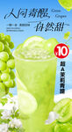 茉莉青提