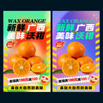 沃柑
