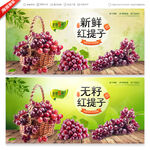 红提葡萄