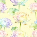 荷花四方连续图图片