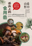 山林野生食用菌