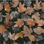 多彩秋叶图案纹理背景