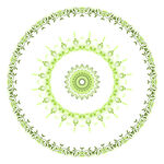 绿色精美圆形花纹图案