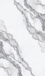 灰白大理石纹理背景图