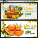 桔子海报