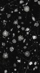 黑白抽象雪花散布画面