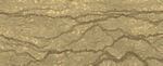 干裂土地纹理特写